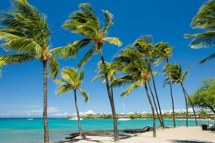 waikoloa-beach-resort
