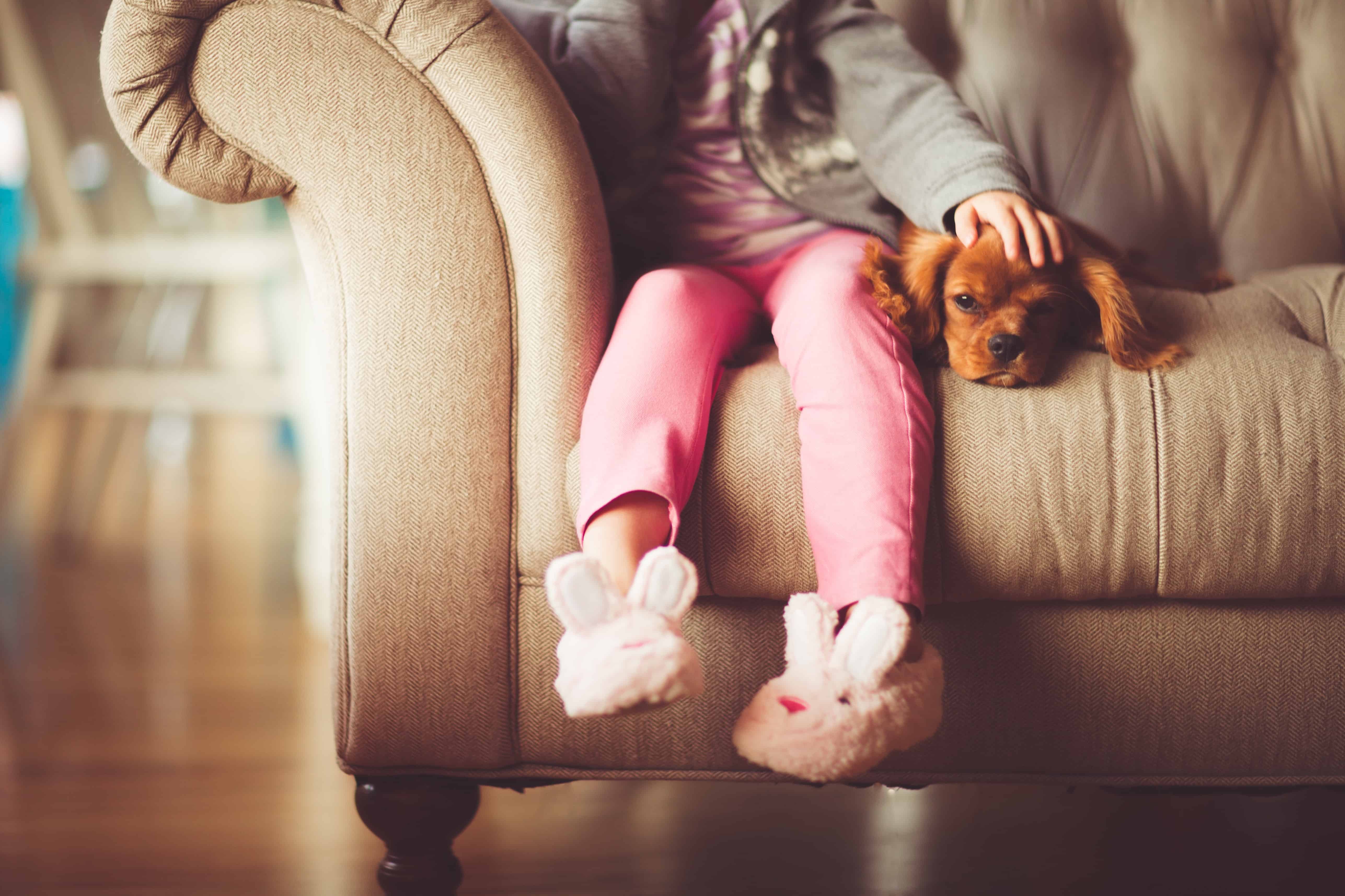 Don't Let Your Pet Cost You an Offer