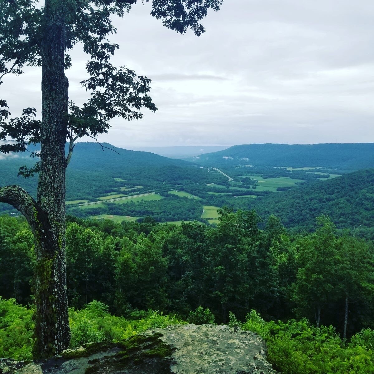 Gooch-Beasley, Realtors