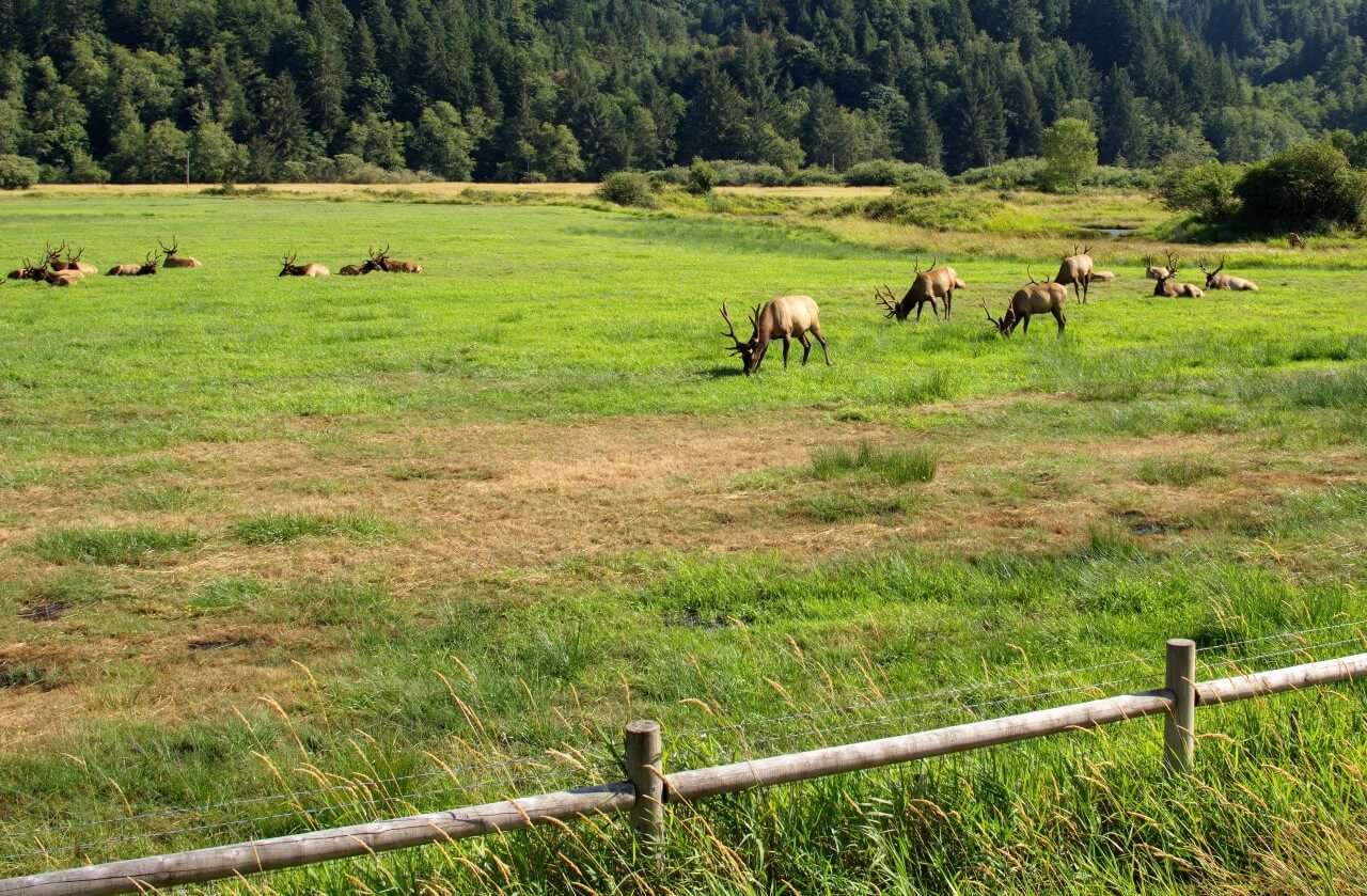 Southern Oregon Coast Homes for Sale Coastal Sotheby's Realty