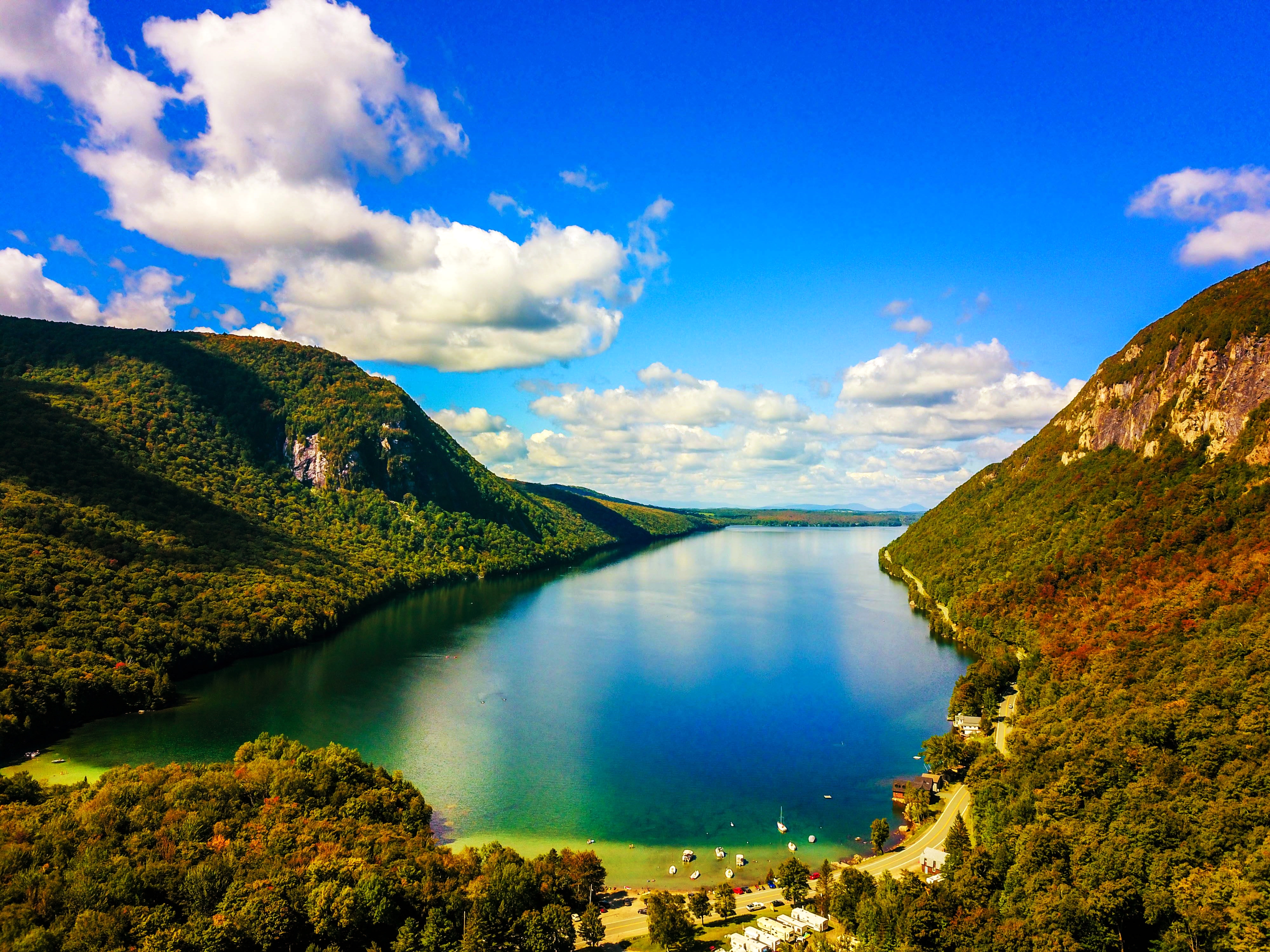 gorgeous view for field and forest