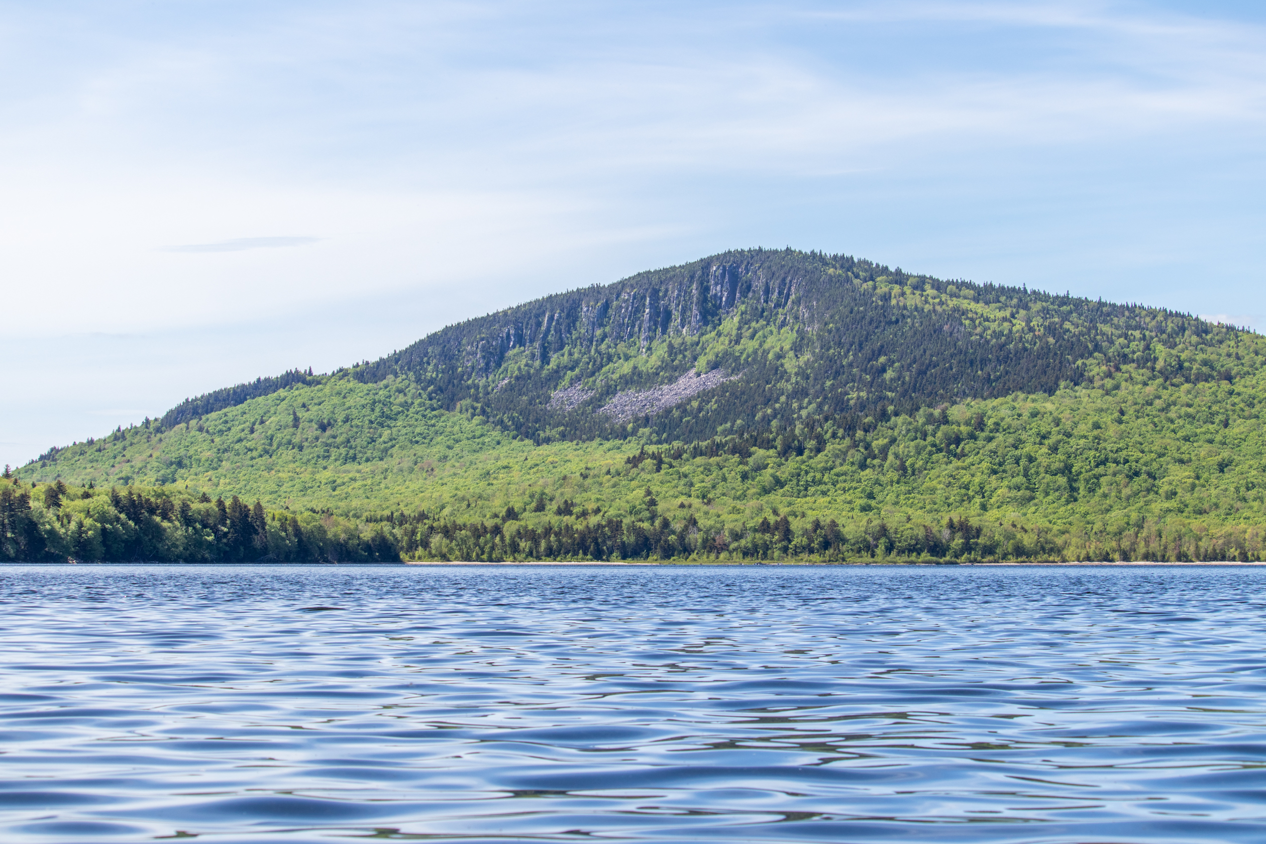 gorgeous view for water and forest