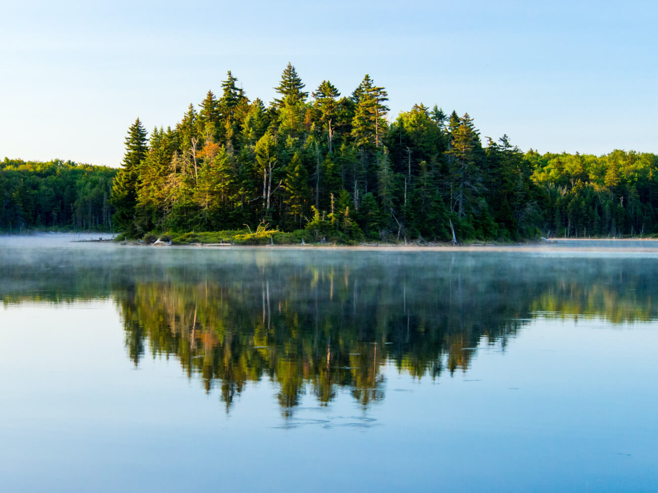 view for a beautiful lake and forest
