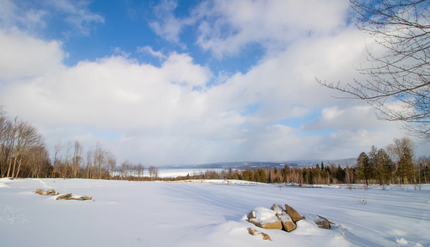 Community Guide CENTURY 21 Farm & Forest