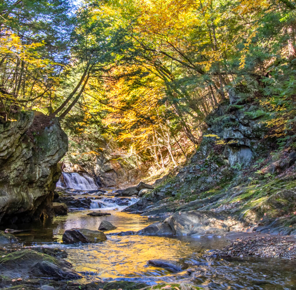 Community Guide CENTURY 21 Farm & Forest