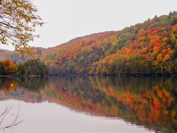 Lake Eligo Reservoir