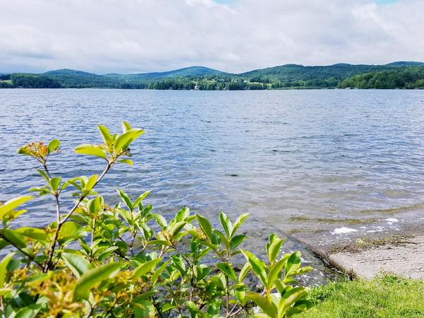 Lake Parker