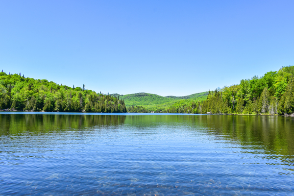 Long Pond