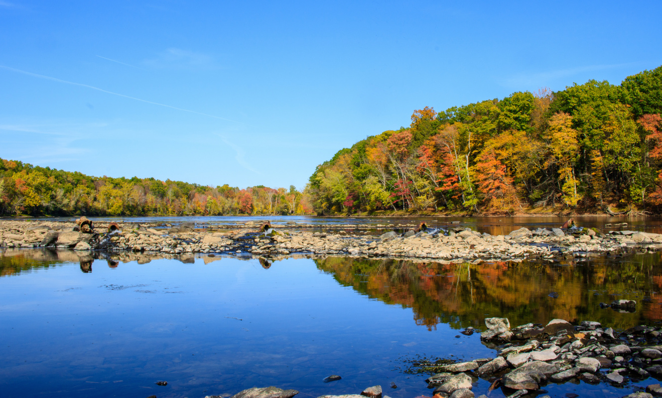 Recommended Searches