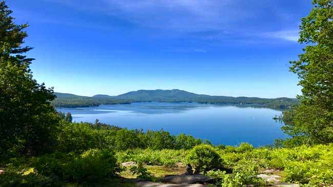 Lake in green forest