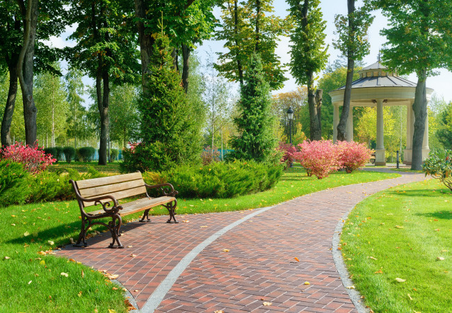 Bench and path in a green park