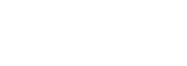 Driggin Stivaletta Real Estate Logo