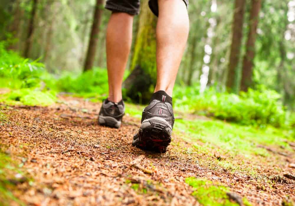 person hiking in woods