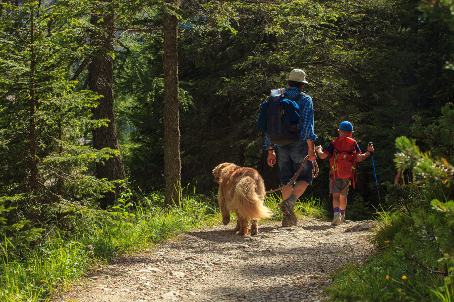 Happy family walking in the Forest
