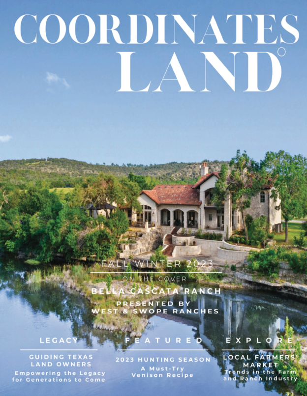 spring / summer 2023