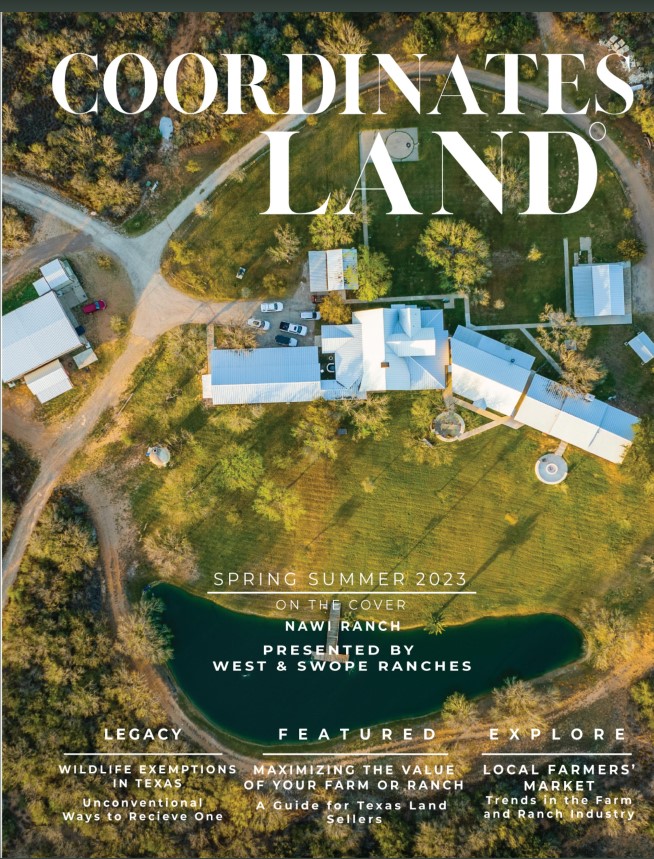 spring / summer 2023