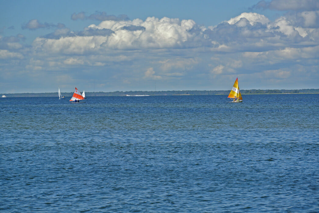 Boats in the Ocean