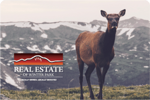 picture of a deer in front of a colorado mountain with real estate of winter park logo on top