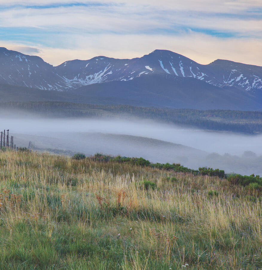the field in the fog near the mountains