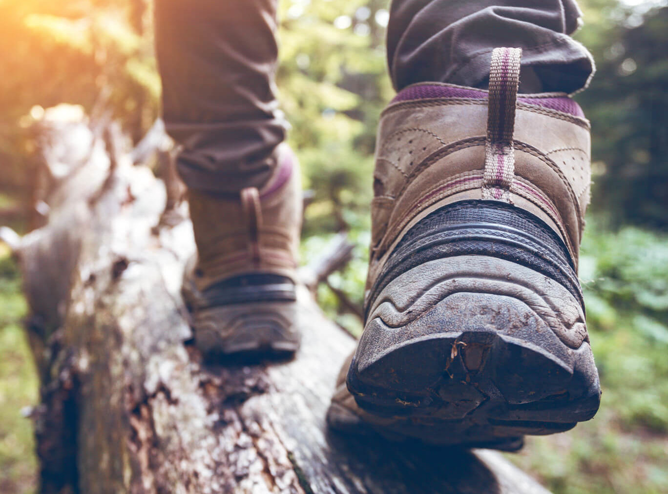 someone is walking in the forest 