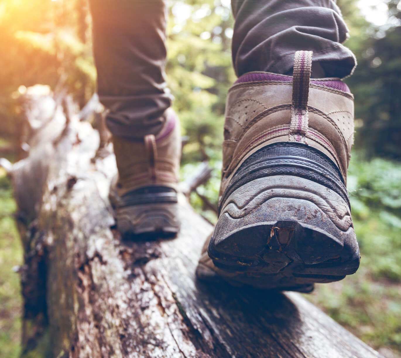 someone is walking in the forest