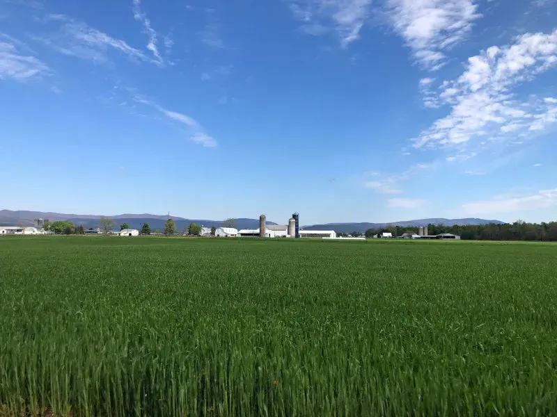 All Communities