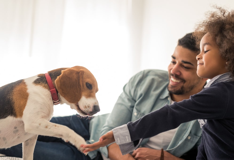 happy family with dog