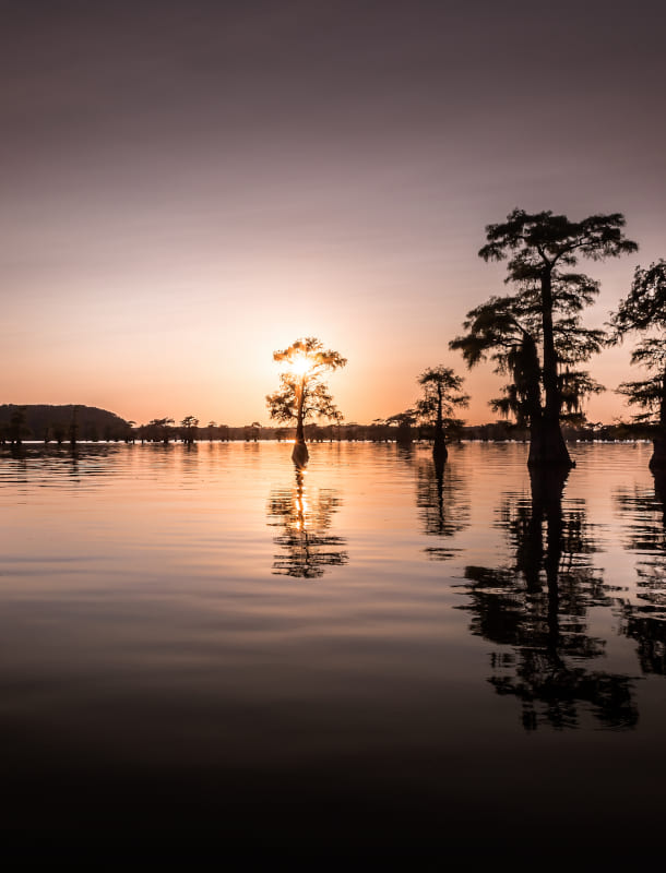Lake Cypress Springs