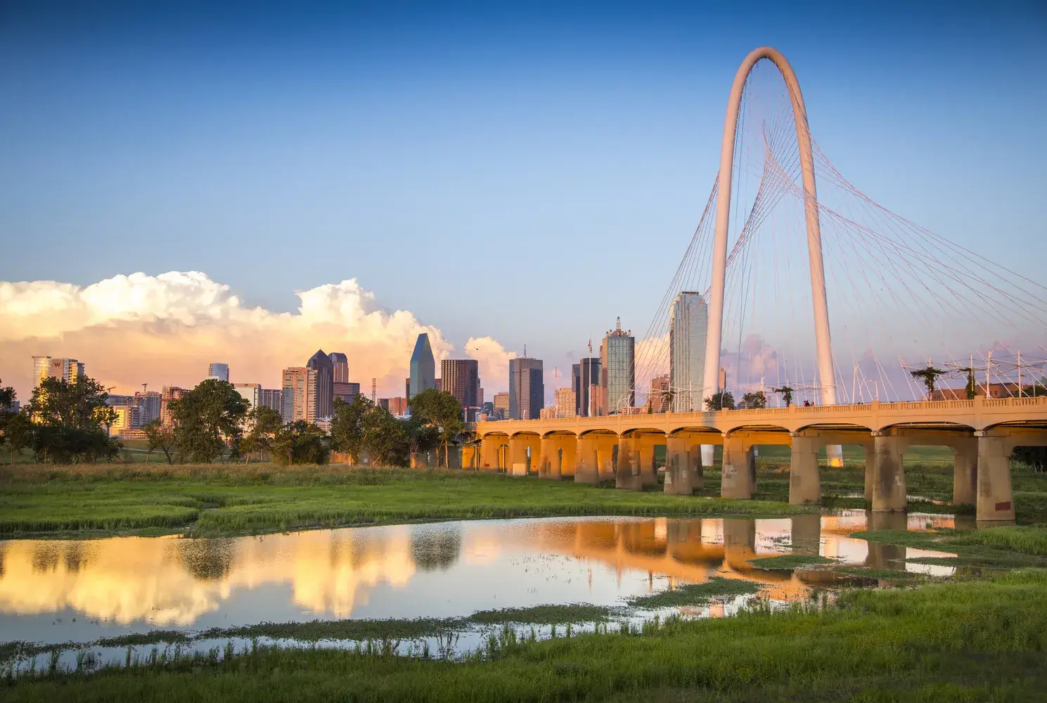 dallas colorful landscape; 
    