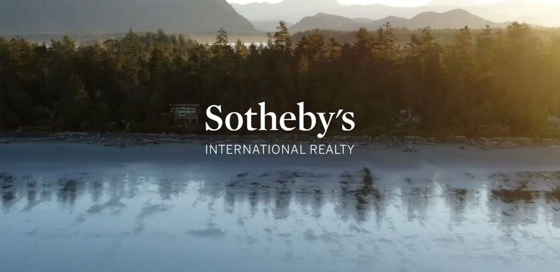 Forest and beach near the lake