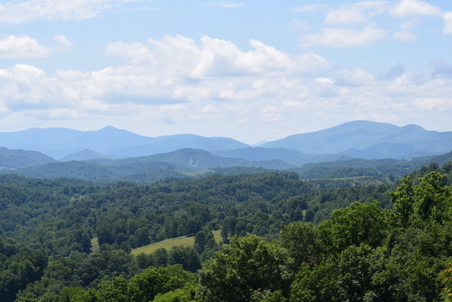 Nature View