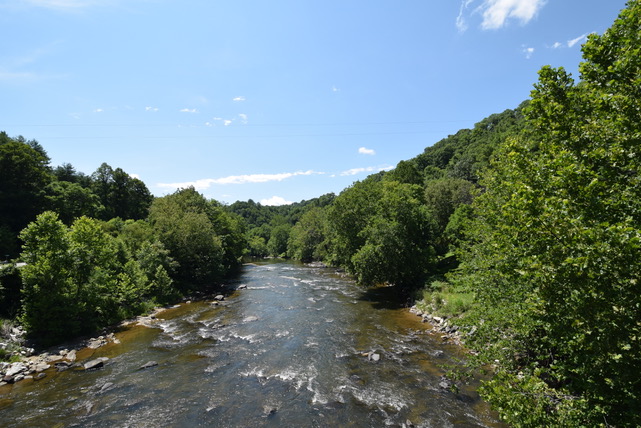 Nature View