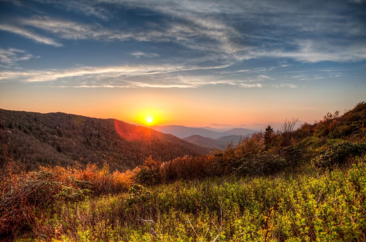 Nature View