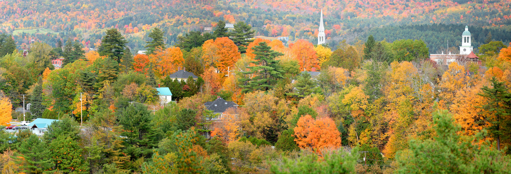 St Johnsbury foliage