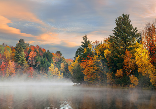 nature