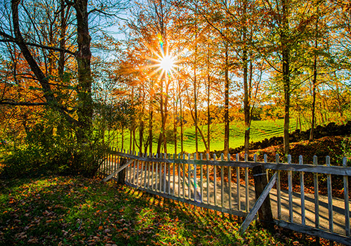 nature