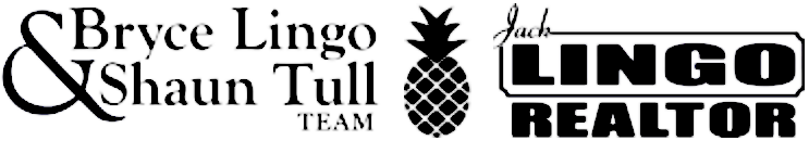 Bryce Lingo &amp; Shaun Tull Team logo