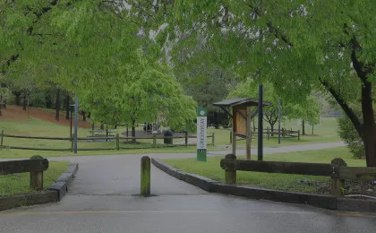 concrete walking path with trees hanging over