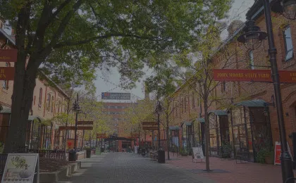 city street with brick buildings and large tree in front