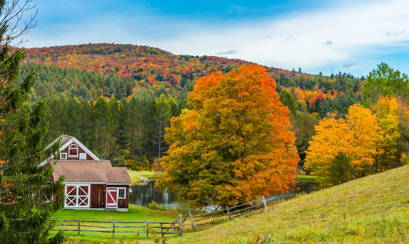 Vermont foliage
