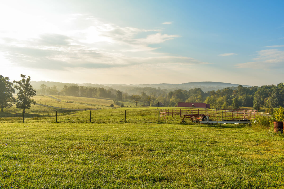 Field Near Smith Mountain Lake VA
      