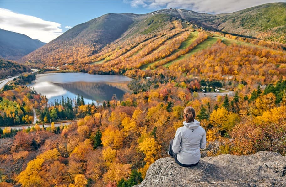 Mountains View