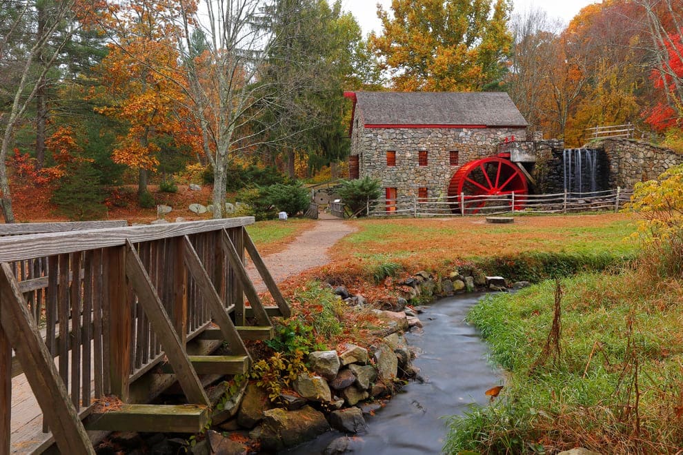 More About Metrowest