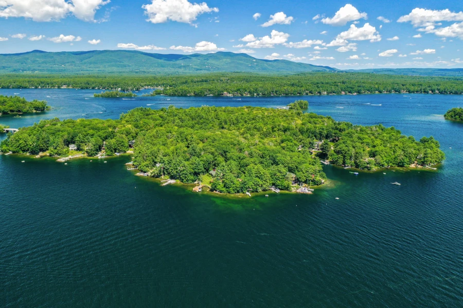 Black Cat Island