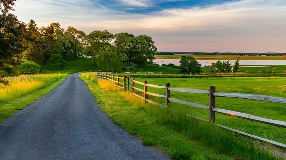 Beatiful Landscape