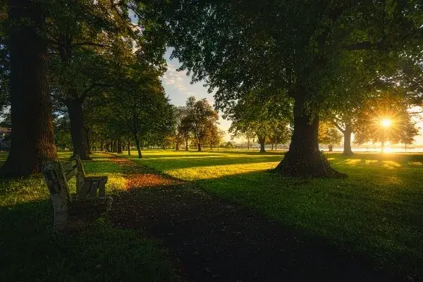 cta__image