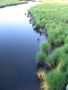 Coastal_pix_006