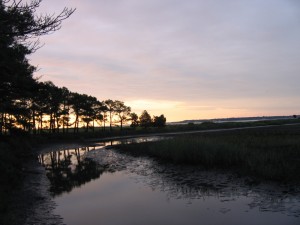 Day-3-the-peninsula_007
