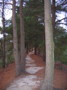 Day-3-the-peninsula_008
