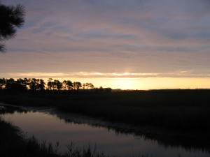 Day-3-the-peninsula_009